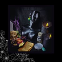 Image 2 of ☽ Populus Tremula Aestas ☾