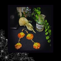 Image 3 of ☽ Populus Tremula Ariditas ☾