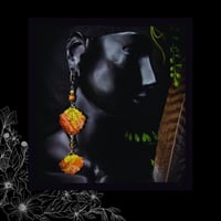 Image 4 of ☽ Populus Tremula Ariditas ☾