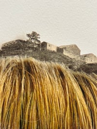 Image 2 of Paisatge, brotxa plenairista 