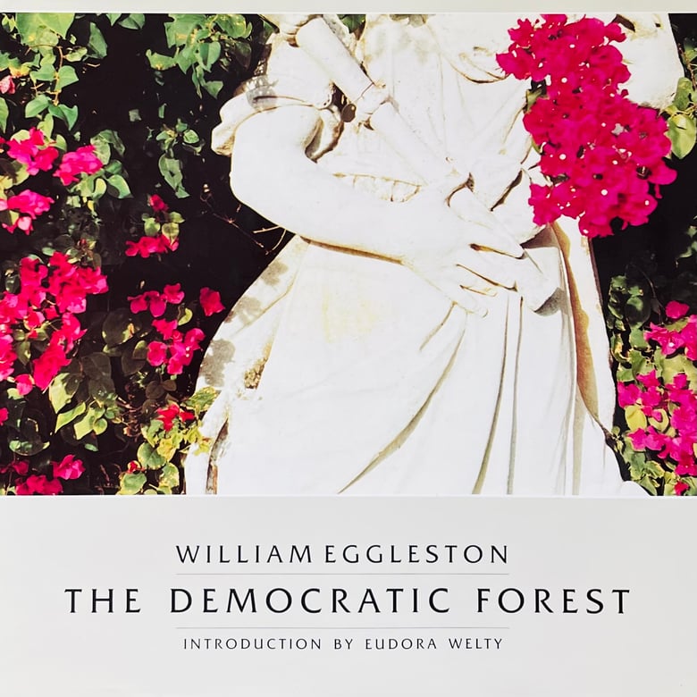 Image of (William Eggleston) (The Democratic Forest)