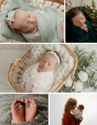 Image 6 of Newborn Portraits at Pause Button Photography
