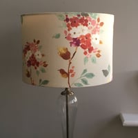 Image of Merewood Apricot Shade