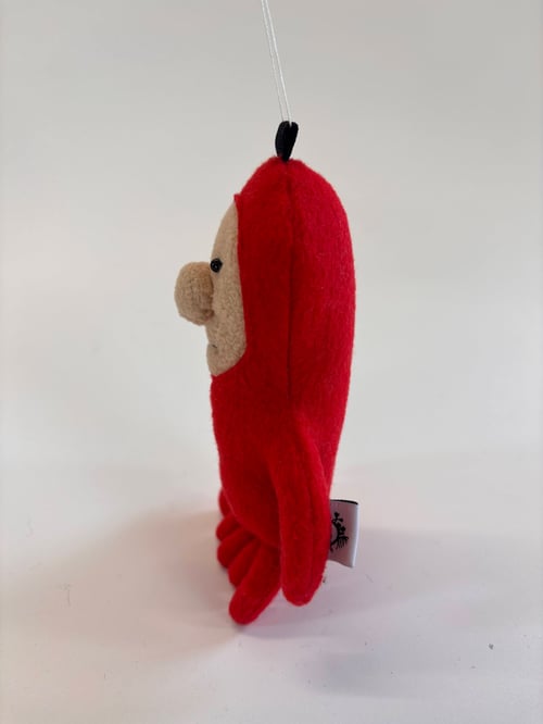 Image of Ollie octopus