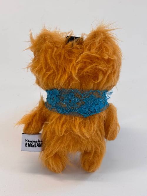 Image of Ginger the cat