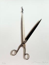 Image 5 of Exerscissors n. 2