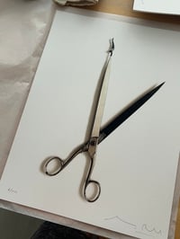 Image 4 of Exerscissors n. 2