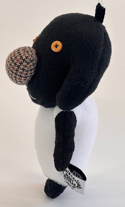 Image of Shelly sheep