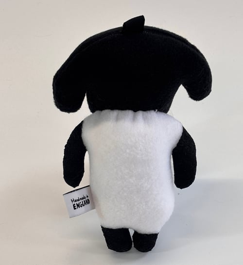 Image of Shelly sheep