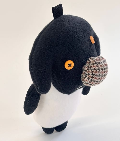 Image of Shelly sheep