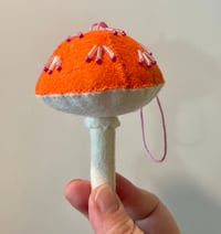 Image 1 of Sugar & Tangerines