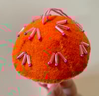 Image 3 of Sugar & Tangerines