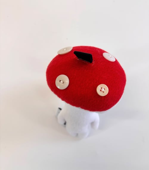 Image of Mishi mushy