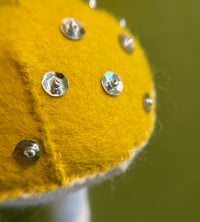 Image 3 of California Stars