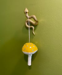 Image 2 of California Stars