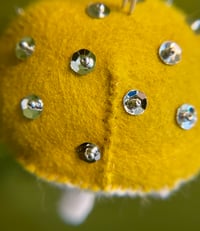 Image 1 of California Stars