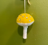 Image 4 of California Stars