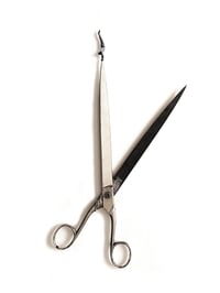 Image 1 of Exerscissors n. 2