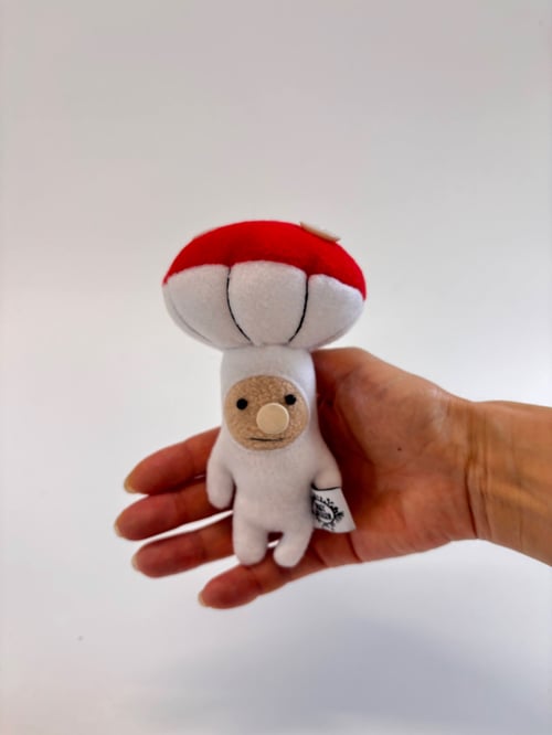 Image of Mishi mushy