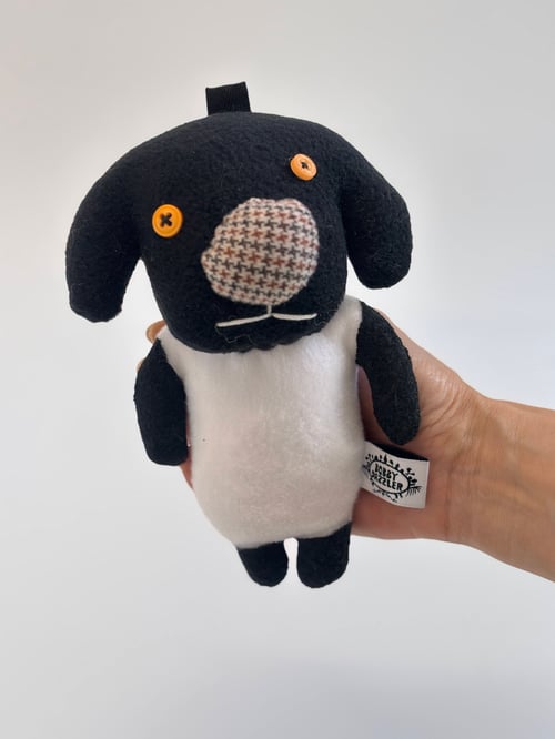 Image of Shelly sheep