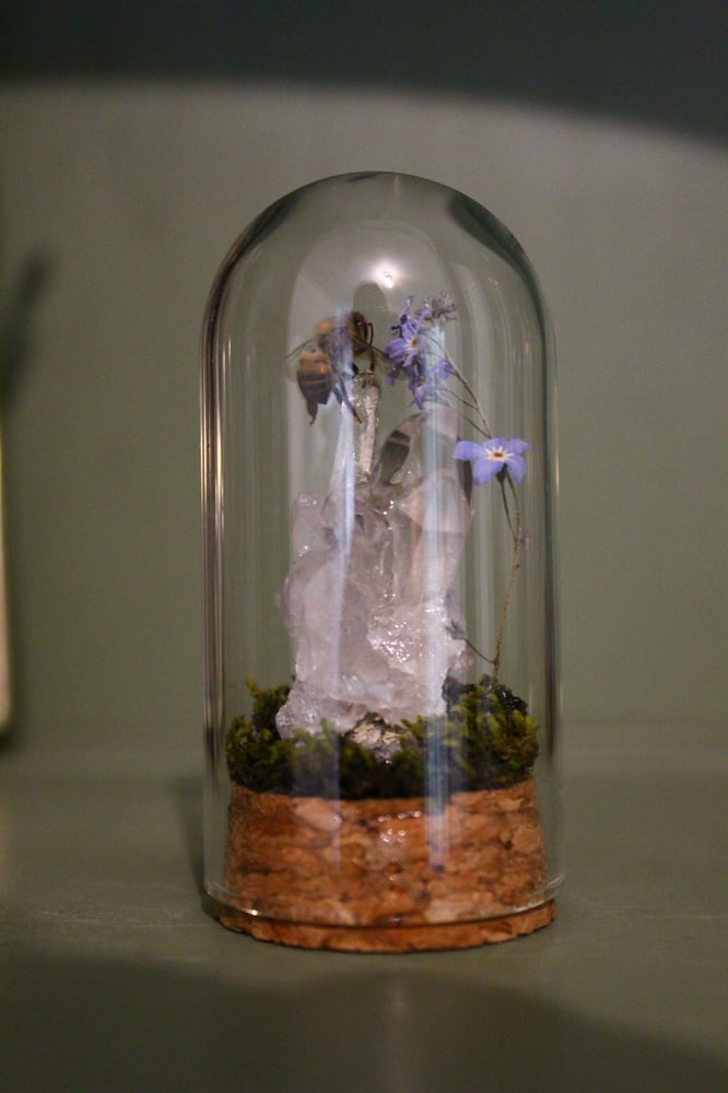 Image of Crystaline Bee