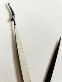 Image 2 of Exerscissors n. 2