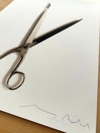 Image 3 of Exerscissors n. 2