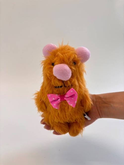 Image of Gusto Guinea pig 