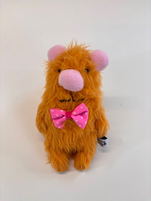 Image of Gusto Guinea pig