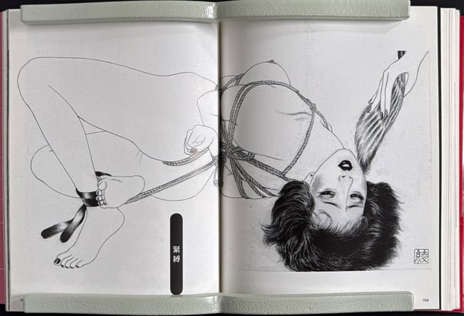 Eros and Fantasy Utopia