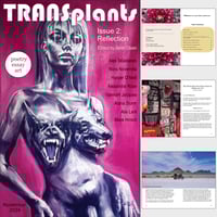 TRANSplants Issue 2: Reflection
