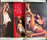 Image 3 of Problem SM, 1973.11