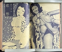 Image 4 of Problem SM, 1973.11