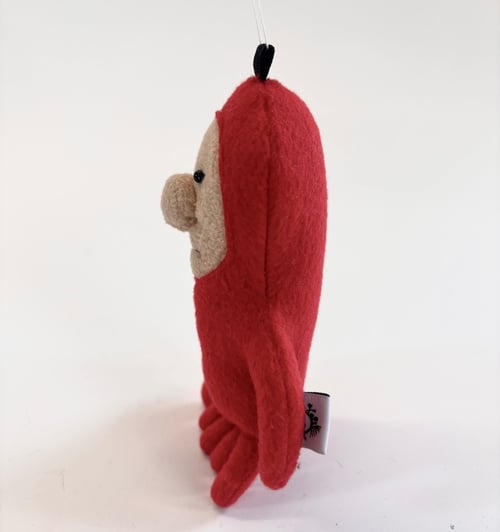 Image of Ollie octopuss