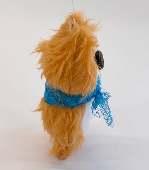 Image of Ginger the cat