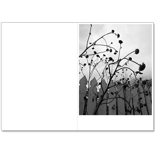 Image of Andrew D. McClees - Wanderlust