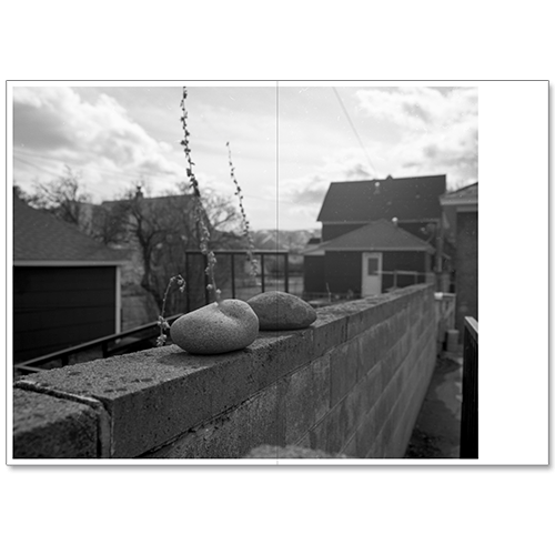 Image of Andrew D. McClees - Wanderlust