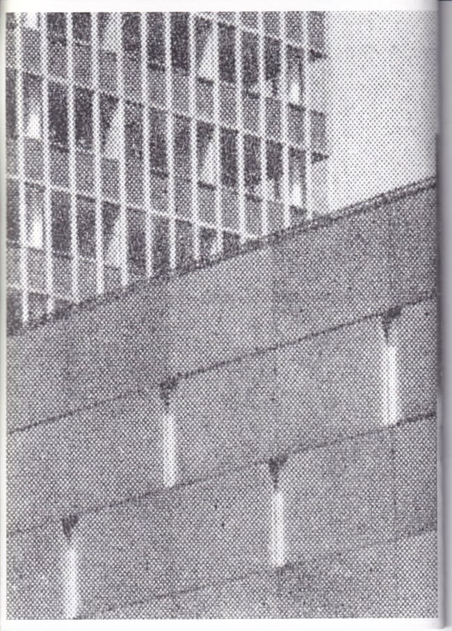 The Killing of the Elephant & The Destruction of the Castle 