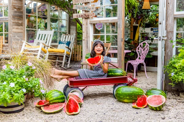 Image of WATERMELON IN THE GARDEN