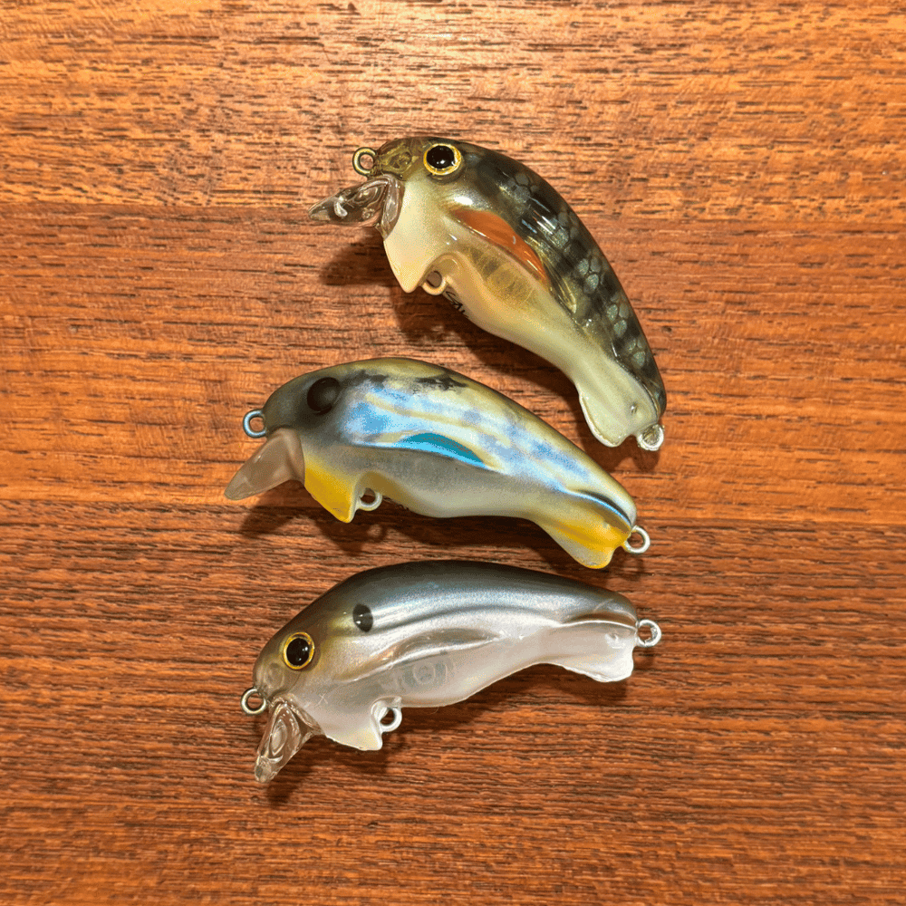 River Rat's Secret OG Worden's DC1 Timber Tiger 3 PACK