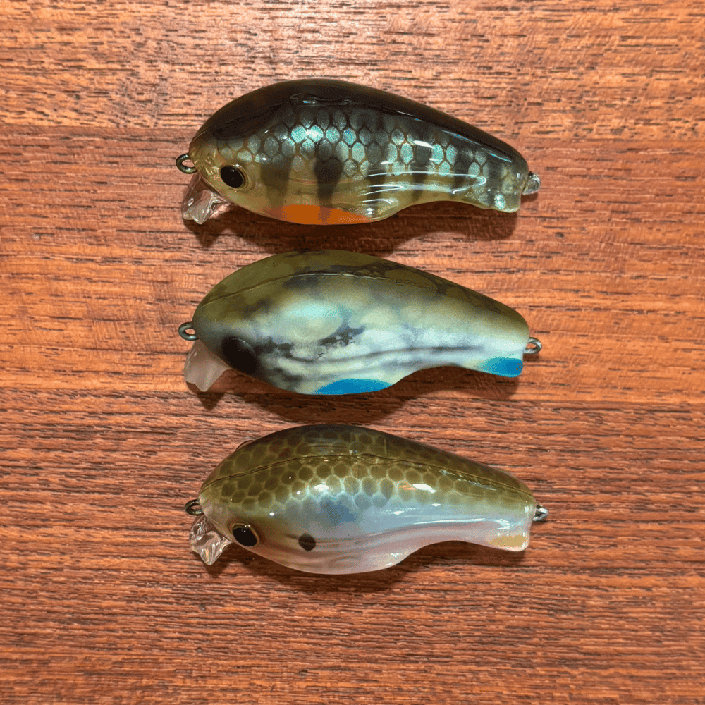 River Rat's Secret OG Worden's DC1 Timber Tiger 3 PACK - Image 3