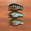 River Rat's Secret OG Worden's DC1 Timber Tiger 3 PACK
