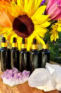 Image 2 of Womb Oil 50ml