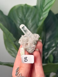 Image 3 of SMALL COLOMBIAN QUARTZ CLUSTERS WITH CHLORITE
