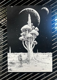 Image 2 of Space  Prototaxite