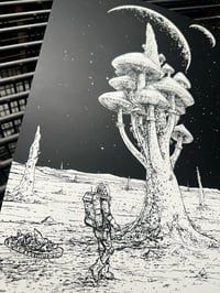 Image 1 of Space  Prototaxite