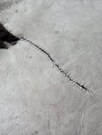 Image 4 of Brown and White Sheepskin Shearling Rug