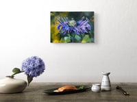 Image 4 of Bee Balm-a-loo-ya