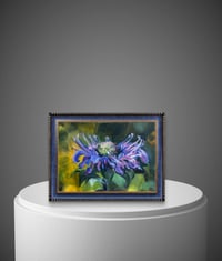 Image 5 of Bee Balm-a-loo-ya