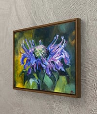 Image 7 of Bee Balm-a-loo-ya